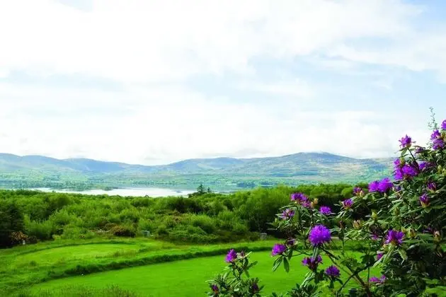 Ring of Kerry Holiday Cottages - Dış Mekan