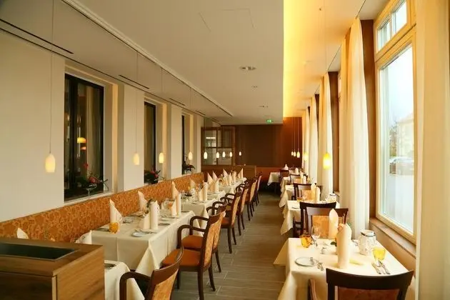 Ringhotel Zum Stein - Genel