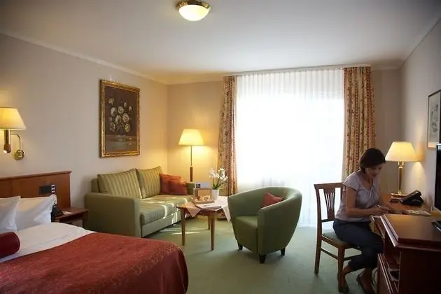 Ringhotel Zum Stein - Oda