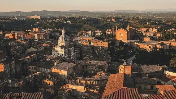 Rinidia Siena Celso Cittadini Grande