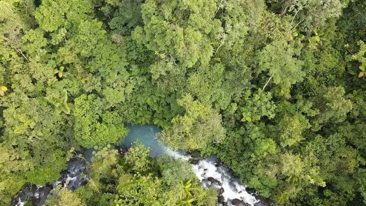 Rio Celeste Nature View