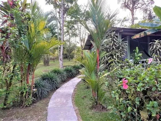 Rio Celeste Nature View - Lobi
