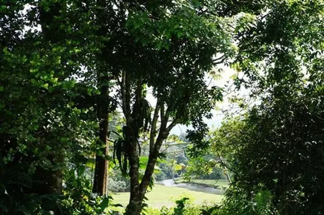 Rio Fortuna Villa