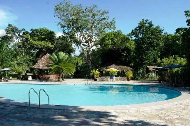Rio Shilcayo - Havuz
