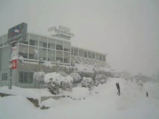 Hotel Ristorante Salyut