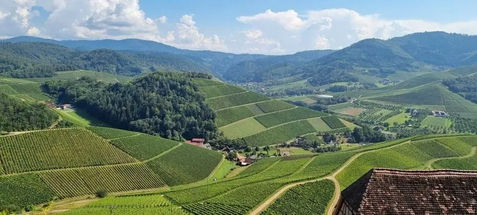 Ritter Durbach
