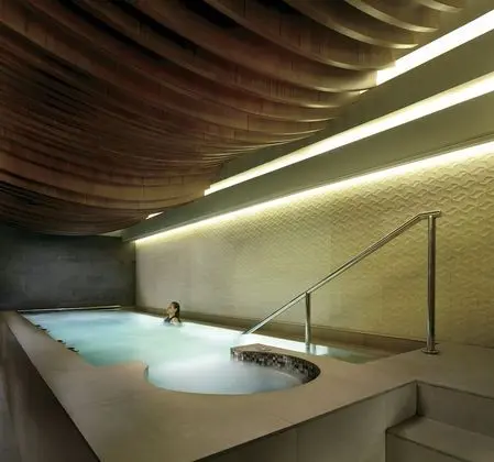 The Ritz-Carlton, Bangalore - Havuz