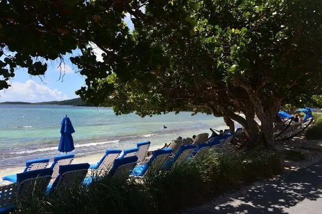 Ritz Carlton Club 2BR Residence - Plaj