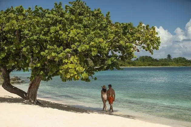 The Ritz-Carlton, St. Thomas - Plaj