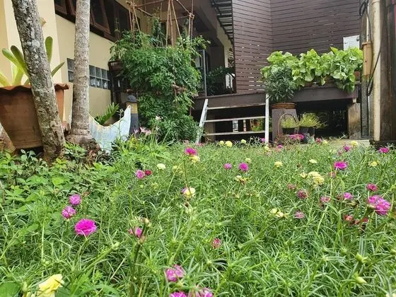 Ritzy House Hotel - Dış Mekan