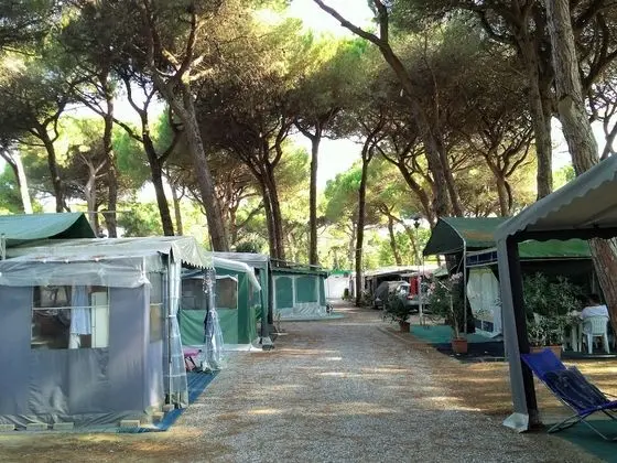 Rivaverde Family Camping Village - Dış Mekan