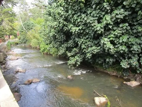River Front Cabains