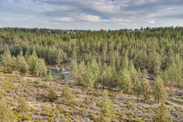 River Ridge 423a - Dış Mekan