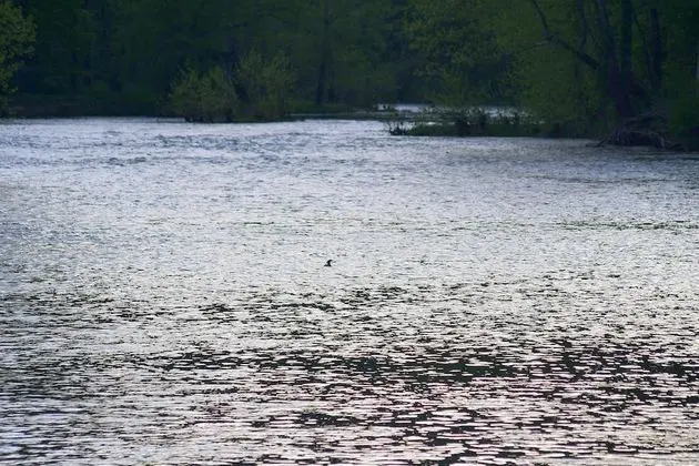 River Walk Cottage - Plaj