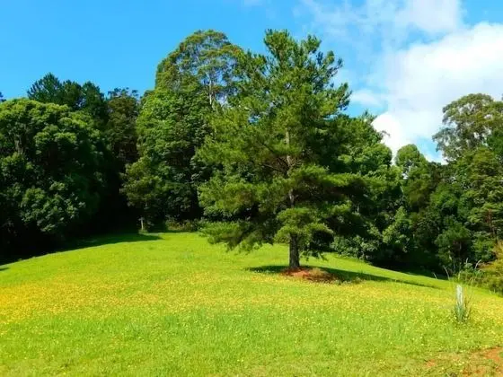 Riverbend Byron Hinterland Retreat - Dış Mekan