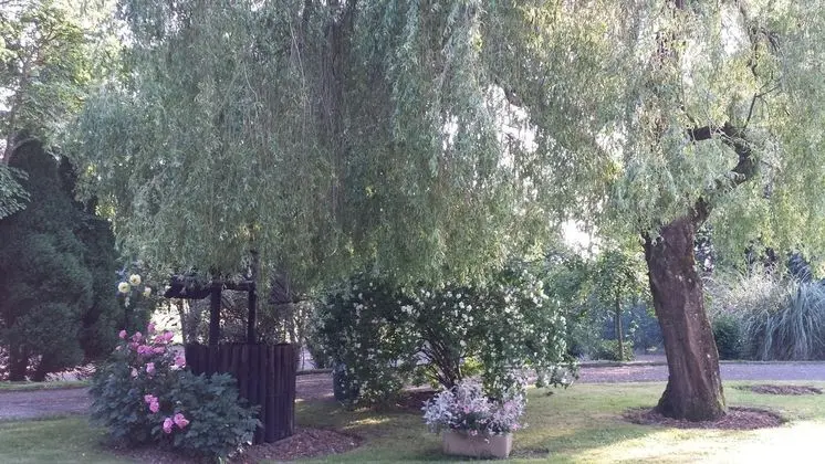 Riverfield Bed and Breakfast