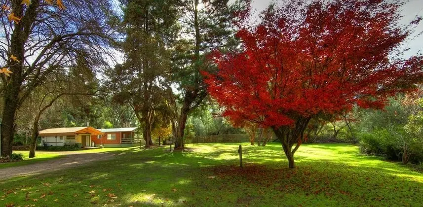 Riverview Caravan Park - Dış Mekan
