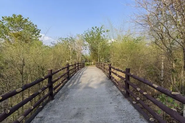 The Riverwood Forest Retreat - Pench - Dış Mekan