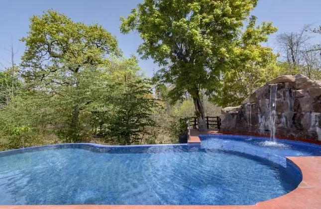 The Riverwood Forest Retreat - Pench - Havuz