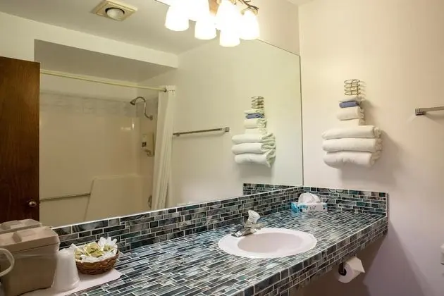 Riverwood Inn Hotel Premiere Double Queen Suite - Banyo Tipleri