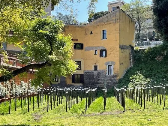 Rm-h501-gari36b1 - Il Mulino di Trastevere - G2