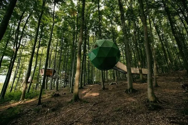 Robins Nest Baumhaushotel