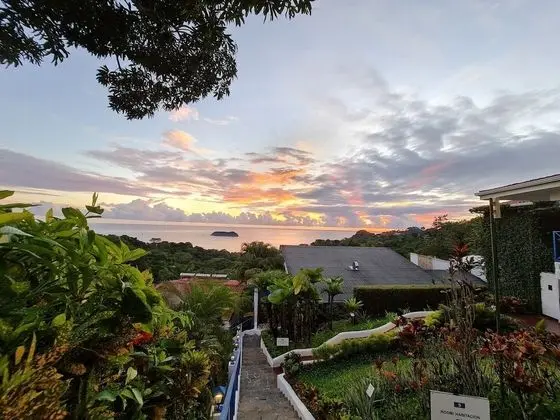 Hotel Villa Roca - Adults Only - Dış Mekan