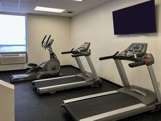 Rochester Hotel & Suites - Mayo Clinic Area - Fitness