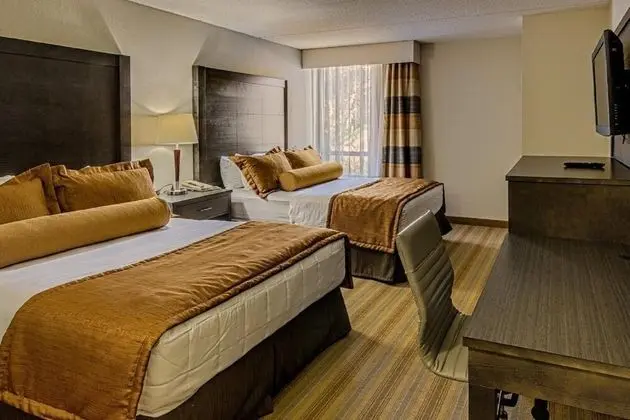 Rochester Hotel & Suites - Mayo Clinic Area - Oda