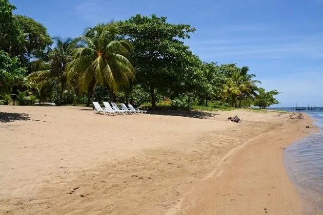 Rock Point Villas Vacations Rentals Sandy Bay, Roatan, Honduras.c.a - Plaj