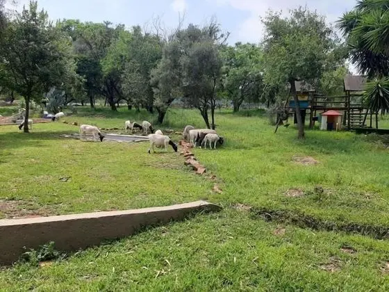 Rocky Hollow Guest Farm - Dış Mekan