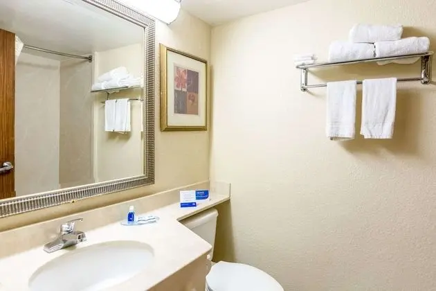 Rodeway Inn Central - Banyo Tipleri