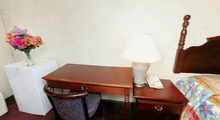 Rodeway Inn Metro Airport