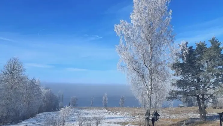 Romantic Lakeview Guesthouse in Swedish Nature - Genel
