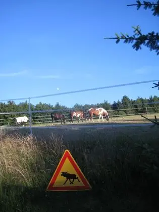Romantikmühle Heartlandranch - Genel