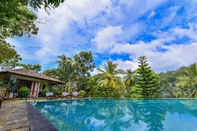 Romaya Villa - Havuz