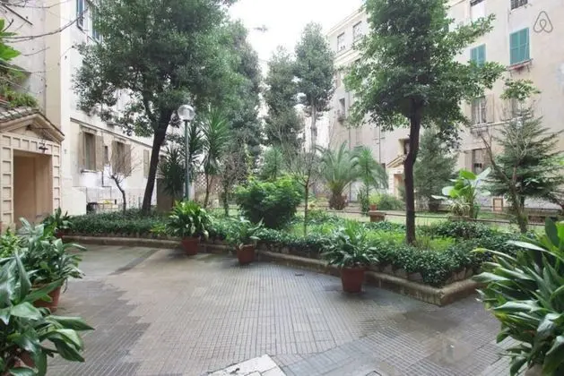 Rome Magnificents' Burrow