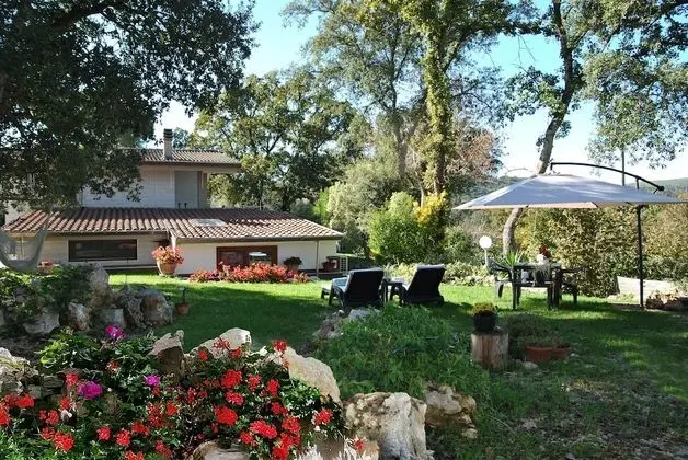 Romeo and Juliet in the Enchanted Forest