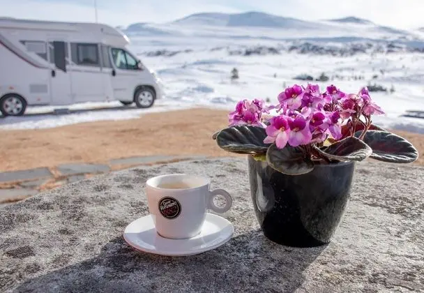 Rondane Haukliseter Fjellhotell - Genel