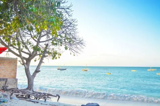 Room Hance Jabil at the Beach for 2-3 Guests - Plaj