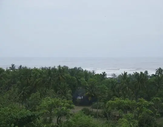 Room Maangta 322 - Morjim Goa