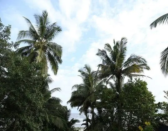 Room Maangta 326 - Pernem Goa