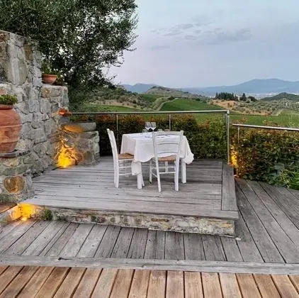Room Overlooking the Vineyards and Florence - Dış Mekan
