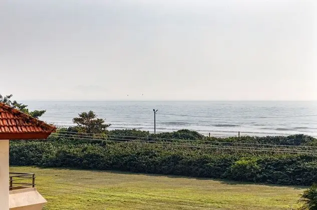 roomin I Brunas do mar I Ingleses