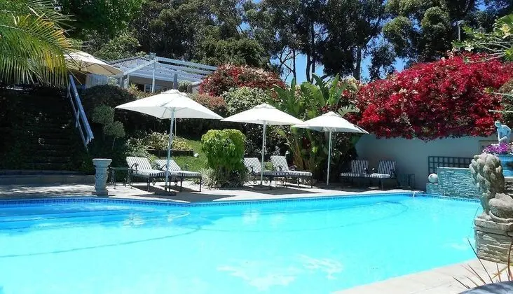 Roosboom Luxury Apartments - Havuz