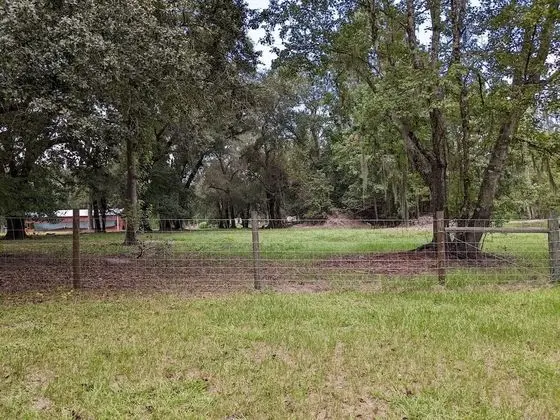 Rooterville Animal Sanctuary - 1