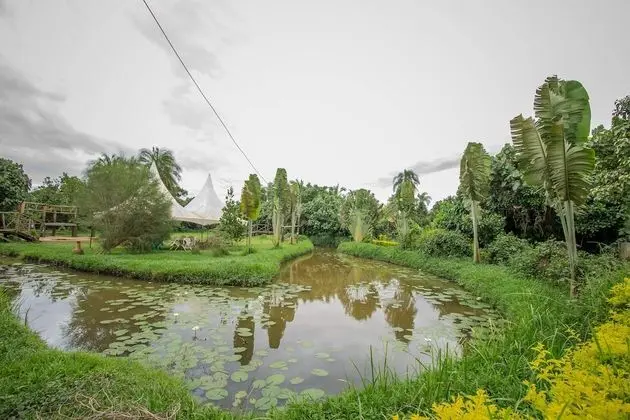 Roots Retreat and Camping Resort - Dış Mekan