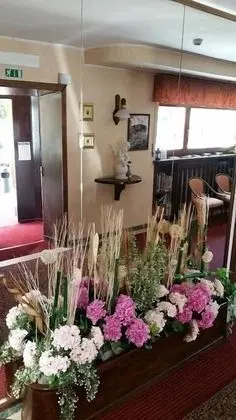 Hotel Rosa Serenella - Lobi