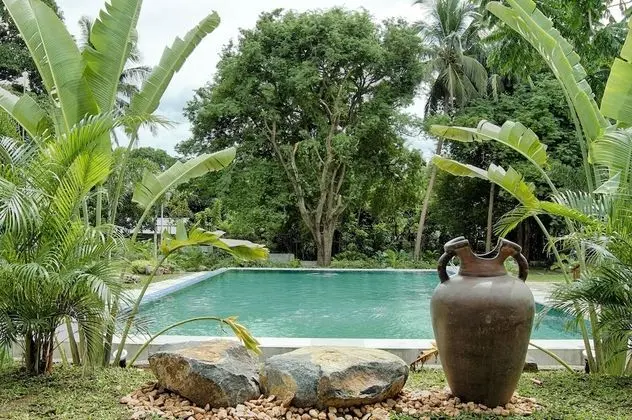 Rose Villas Resort - Havuz