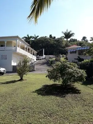 Rose View Apartment Montego Bay - Dış Mekan